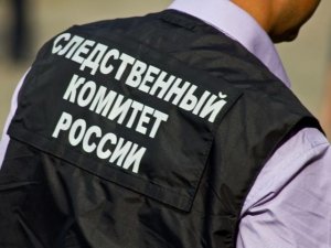 Главе ведомства будет представлен доклад по доводам публикации о совершенных в отношении несовершеннолетней в Дагестане противоправных действиях